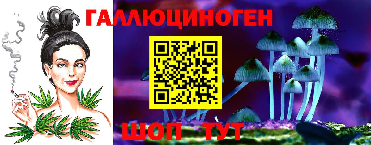 Галлюциногенные грибы прущие грибы Острогожск