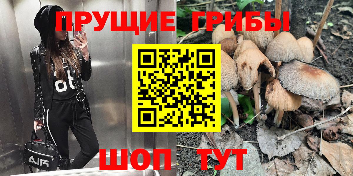 Острогожск  Псилоцибиновые грибы ЛСД  Вход с VPN 